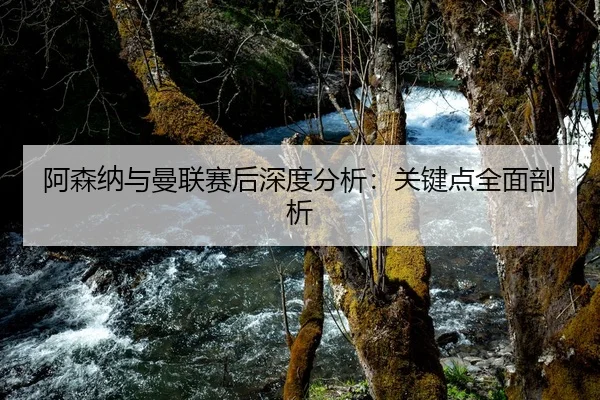 阿森纳与曼联赛后深度分析：关键点全面剖析
